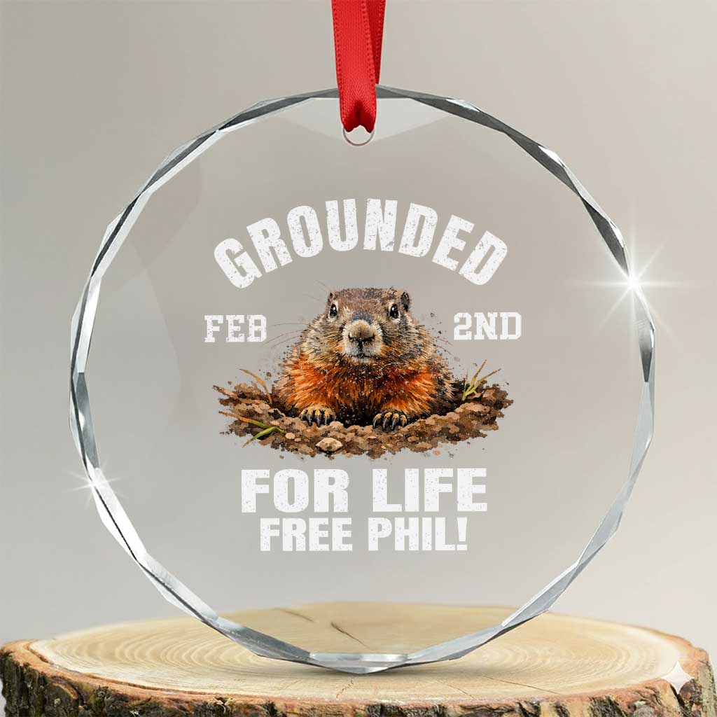 Funny Groundhog Crystal Glass Ornament Grounded For Life Ground Hog Day TS10 Transparent Glass 3'' Circle Print Your Wear