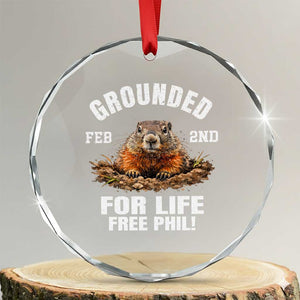 Funny Groundhog Crystal Glass Ornament Grounded For Life Ground Hog Day TS10 Transparent Glass 3'' Circle Print Your Wear