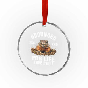 Funny Groundhog Crystal Glass Ornament Grounded For Life Ground Hog Day TS10 Print Your Wear