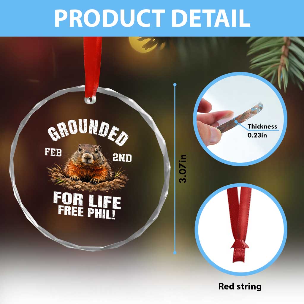 Funny Groundhog Crystal Glass Ornament Grounded For Life Ground Hog Day TS10 Print Your Wear