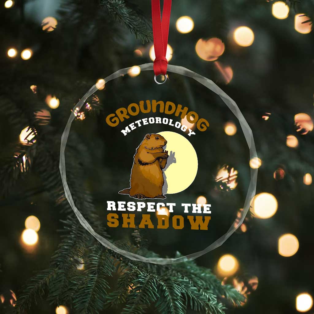 Funny Groundhog Day Crystal Glass Ornament Groundhog Meteorology Respect The Shadow TS11 Print Your Wear