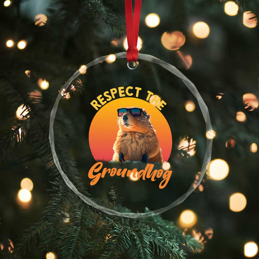 Funny Groundhog Day Crystal Glass Ornament Respect The Groundhog Woodchuck TS11 Print Your Wear