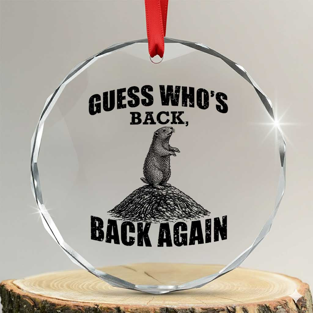 Funny Groundhog Day Crystal Glass Ornament Retro Guess Whos Back TS10 Transparent Glass 3'' Circle Print Your Wear