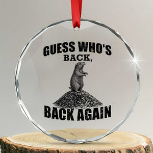 Funny Groundhog Day Crystal Glass Ornament Retro Guess Whos Back TS10 Transparent Glass 3'' Circle Print Your Wear