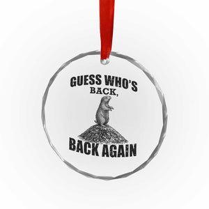 Funny Groundhog Day Crystal Glass Ornament Retro Guess Whos Back TS10 Print Your Wear