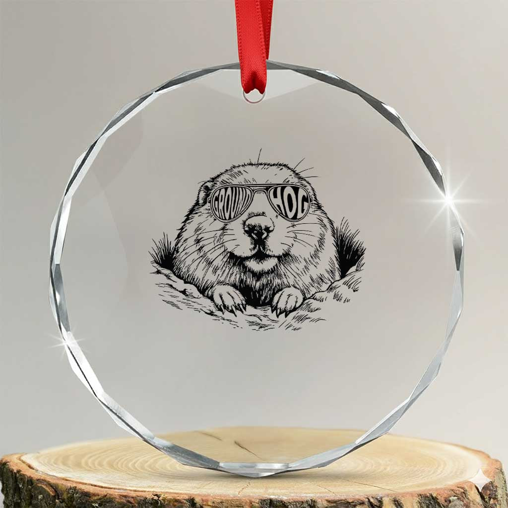 Funny Groundhog Face Woodchuck Sunglassess Crystal Glass Ornament TS11 Transparent Glass 3'' Circle Print Your Wear