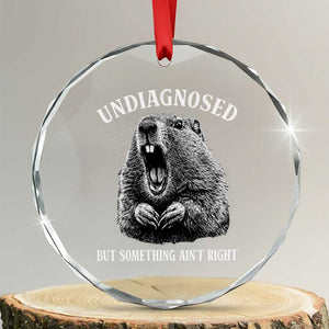 Funny Groundhog Meme Undiagnosed But Something Aint Right Crystal Glass Ornament TS10 Transparent Glass 3'' Circle Print Your Wear