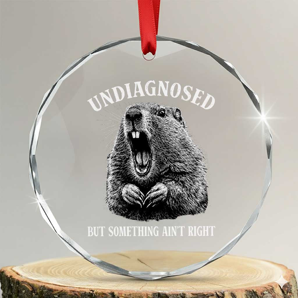 Funny Groundhog Meme Undiagnosed But Something Aint Right Crystal Glass Ornament TS10 Transparent Glass 3'' Circle Print Your Wear