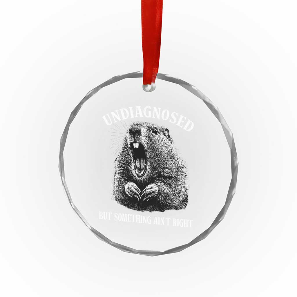 Funny Groundhog Meme Undiagnosed But Something Aint Right Crystal Glass Ornament TS10 Print Your Wear