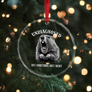 Funny Groundhog Meme Undiagnosed But Something Aint Right Crystal Glass Ornament TS10 Print Your Wear