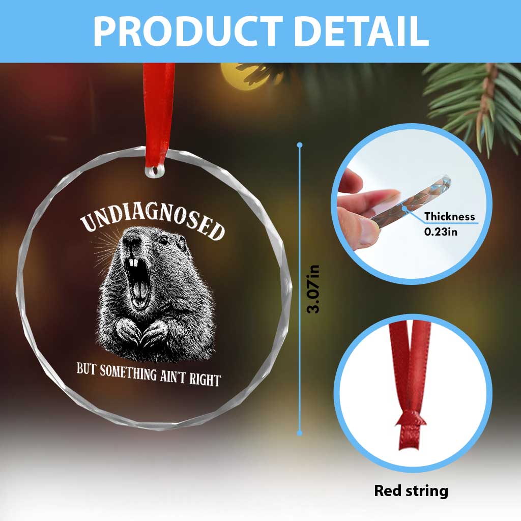 Funny Groundhog Meme Undiagnosed But Something Aint Right Crystal Glass Ornament TS10 Print Your Wear