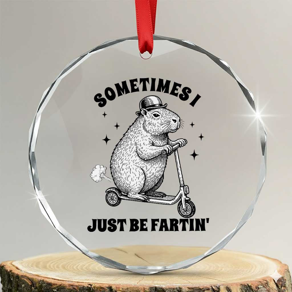 Funny Groundhog Scooter Crystal Glass Ornament Sometimes I Just Be Fartin TS14 Transparent Glass 3'' Circle Print Your Wear