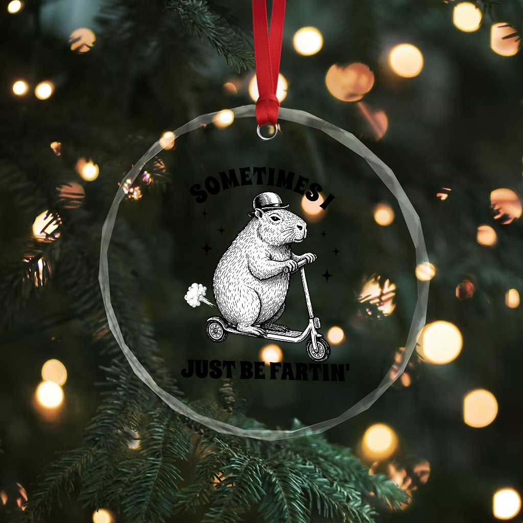 Funny Groundhog Scooter Crystal Glass Ornament Sometimes I Just Be Fartin TS14 Print Your Wear