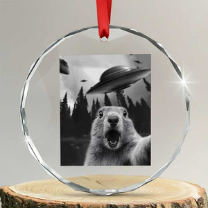 Funny Groundhog Selfie With Alien UFOs Weird Ground Hog Day Crystal Glass Ornament TS11 Transparent Glass 3'' Circle Print Your Wear