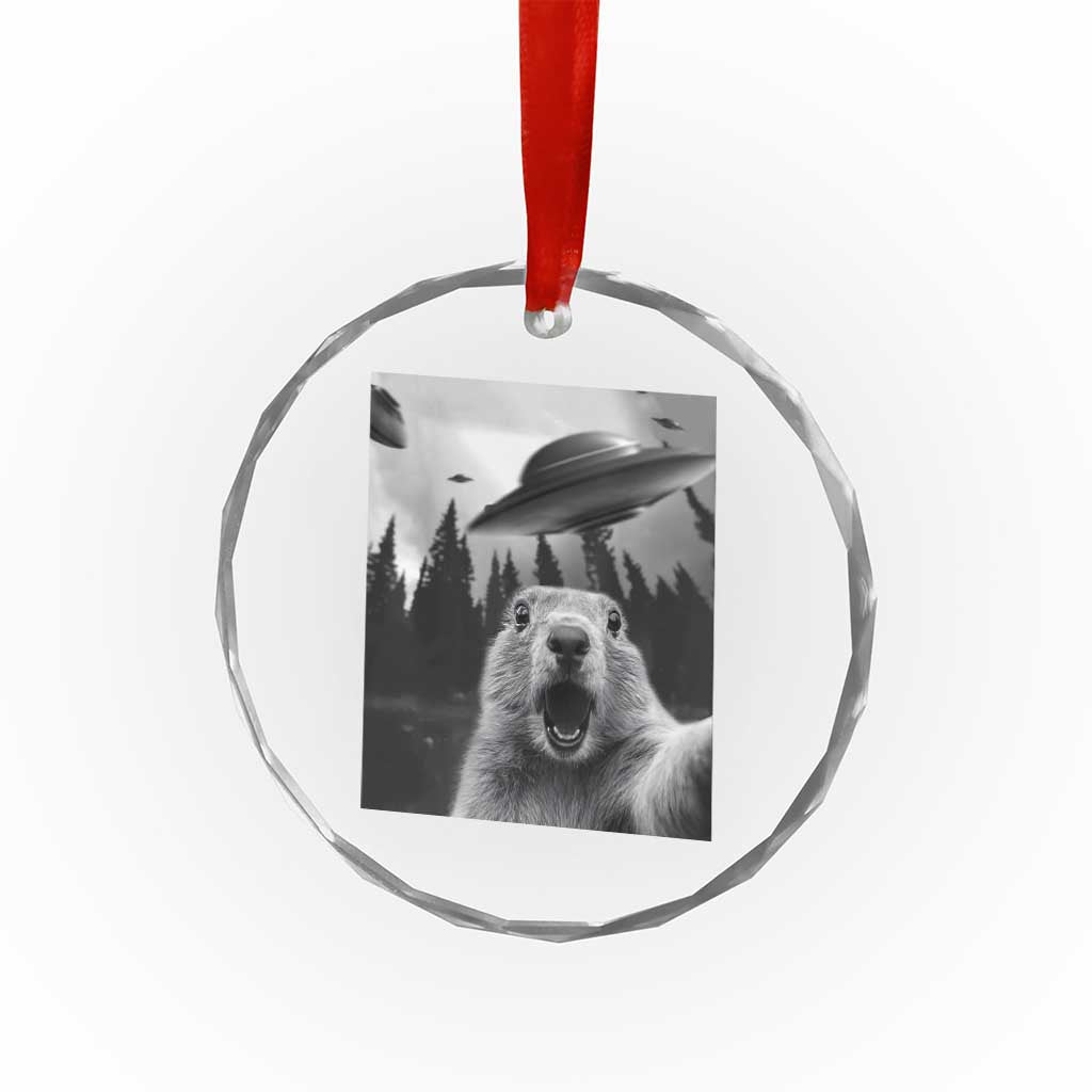 Funny Groundhog Selfie With Alien UFOs Weird Ground Hog Day Crystal Glass Ornament TS11 Print Your Wear