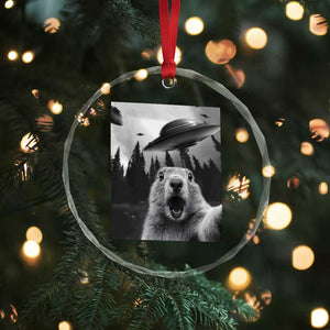 Funny Groundhog Selfie With Alien UFOs Weird Ground Hog Day Crystal Glass Ornament TS11 Print Your Wear