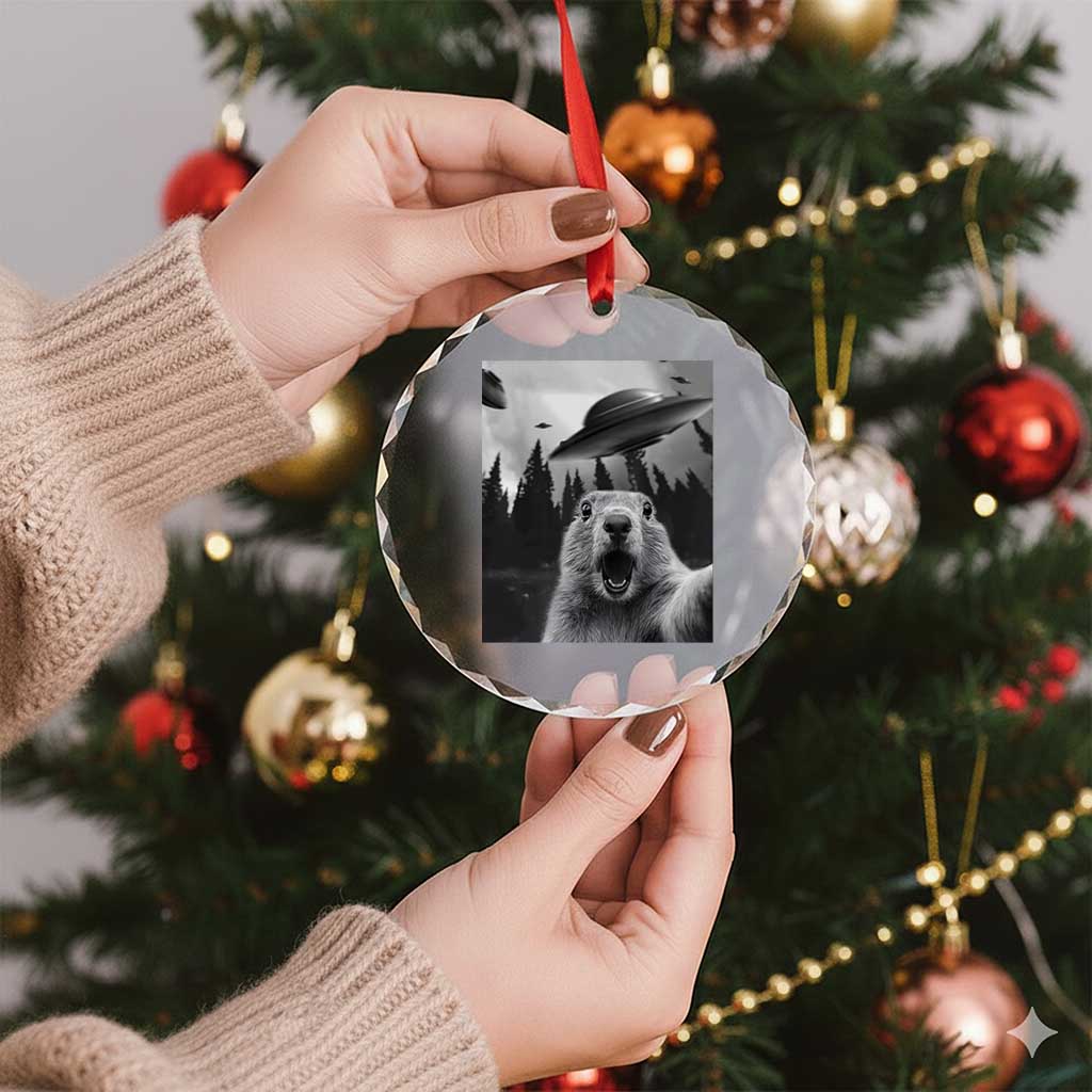 Funny Groundhog Selfie With Alien UFOs Weird Ground Hog Day Crystal Glass Ornament TS11 Print Your Wear