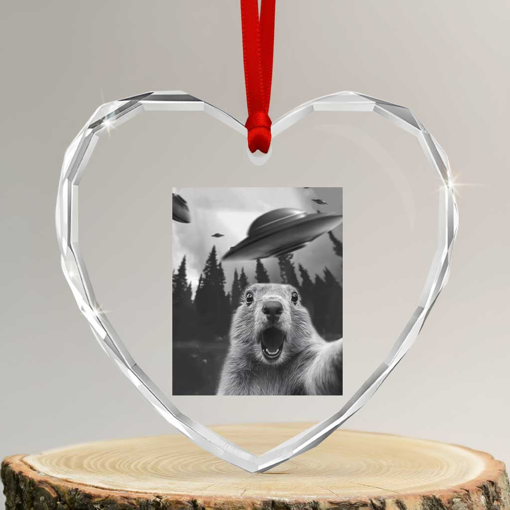 Funny Groundhog Selfie With Alien UFOs Weird Ground Hog Day Heart Crystal Glass Ornament TS11 Transparent Glass 3'' Heart Print Your Wear
