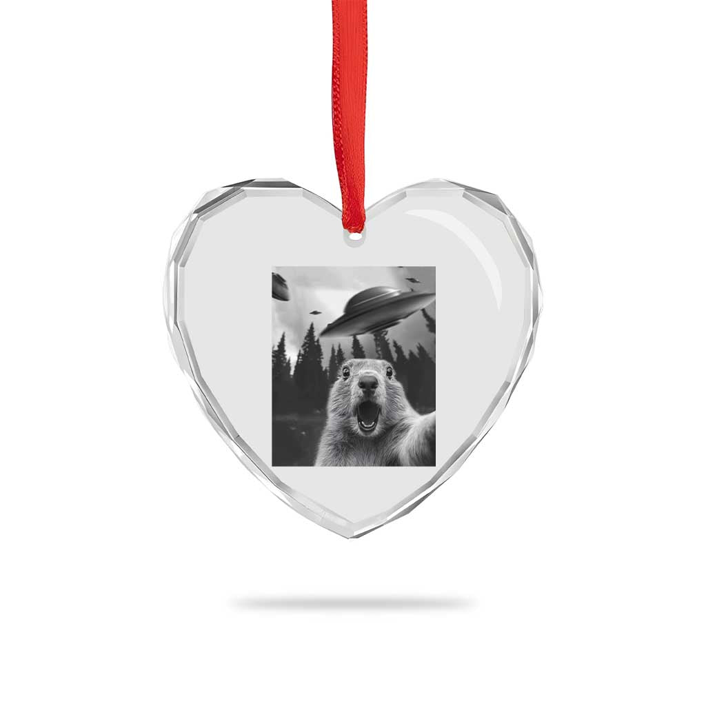 Funny Groundhog Selfie With Alien UFOs Weird Ground Hog Day Heart Crystal Glass Ornament TS11 Print Your Wear