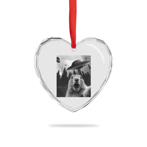 Funny Groundhog Selfie With Alien UFOs Weird Ground Hog Day Heart Crystal Glass Ornament TS11 Print Your Wear