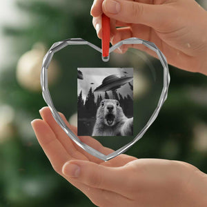Funny Groundhog Selfie With Alien UFOs Weird Ground Hog Day Heart Crystal Glass Ornament TS11 Print Your Wear