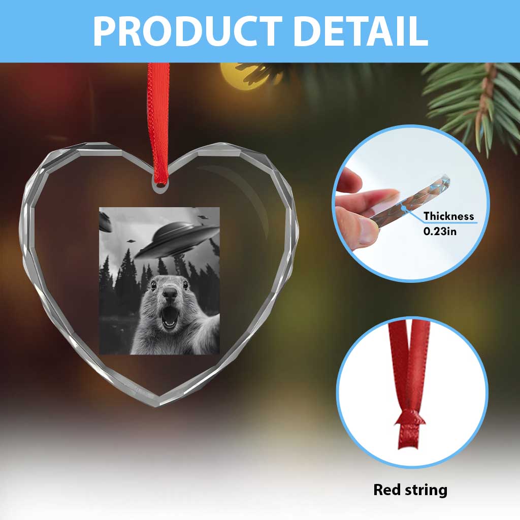 Funny Groundhog Selfie With Alien UFOs Weird Ground Hog Day Heart Crystal Glass Ornament TS11 Print Your Wear