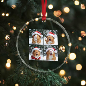 Funny Guinea Pig With Santa Hat Photobooth Crystal Glass Ornament Christmas Gift TS12 Print Your Wear