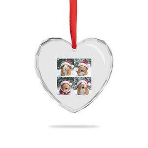 Funny Guinea Pig With Santa Hat Photobooth Heart Crystal Glass Ornament Christmas Gift TS12 Print Your Wear