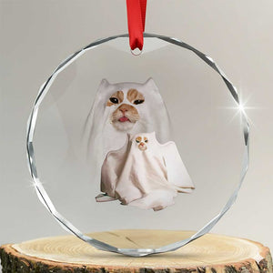 Funny Halloween Ghost Cat Meme Crystal Glass Ornament TS10 Transparent Glass 3'' Circle Print Your Wear