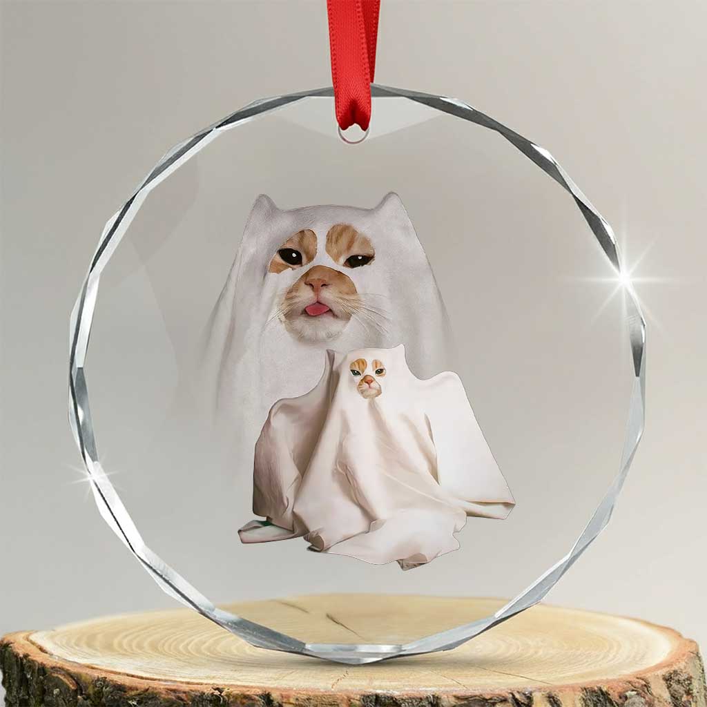 Funny Halloween Ghost Cat Meme Crystal Glass Ornament TS10 Transparent Glass 3'' Circle Print Your Wear