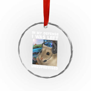 Funny Hamster Gamer Crystal Glass Ornament In My Defense I Was Left Unsupervised TS12 Print Your Wear