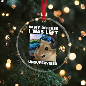 Funny Hamster Gamer Crystal Glass Ornament In My Defense I Was Left Unsupervised TS12 Print Your Wear