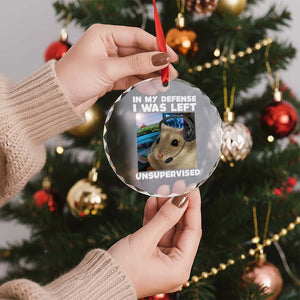 Funny Hamster Gamer Crystal Glass Ornament In My Defense I Was Left Unsupervised TS12 Print Your Wear