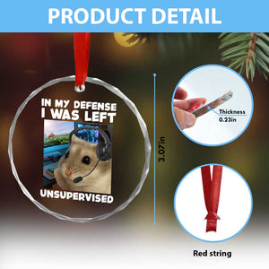 Funny Hamster Gamer Crystal Glass Ornament In My Defense I Was Left Unsupervised TS12 Print Your Wear