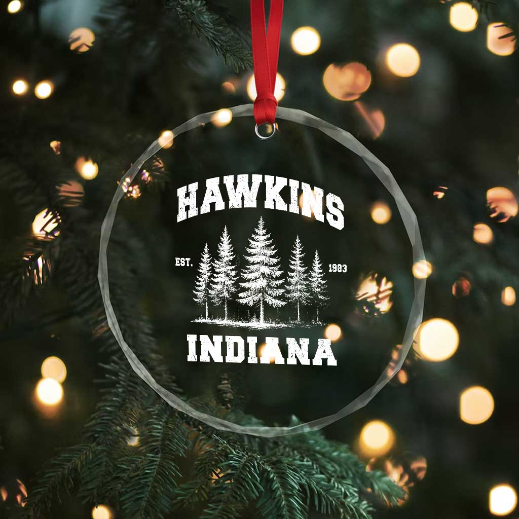 Funny Hawkins Sci Fi Lover Crystal Glass Ornament Indiana Strangers Pine Tree TS11 Print Your Wear