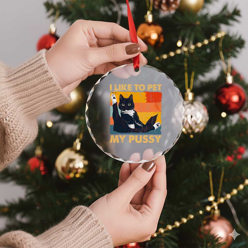 Funny Humor Saying Cat Crystal Glass Ornament I Like To Pet My Pussy Naughty Vintage TS10 Print Your Wear