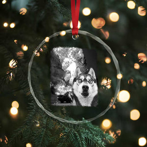 Funny Husky Chaos Crystal Glass Ornament Cool Dog Selfie With Burning Car TS12 Print Your Wear