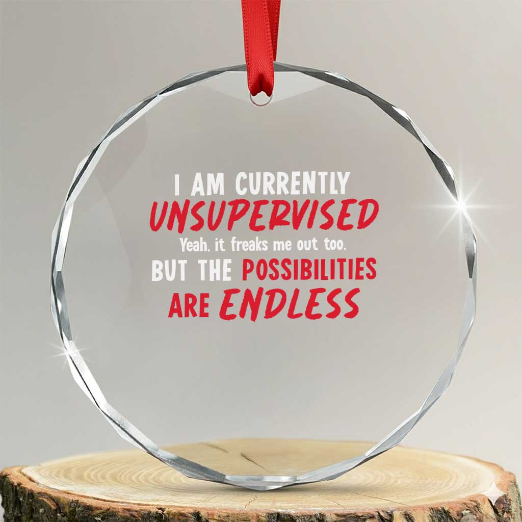 Funny I Am Currently Unsupervised But The Possibilities Are Endless Crystal Glass Ornament TS11 Transparent Glass 3'' Circle Print Your Wear