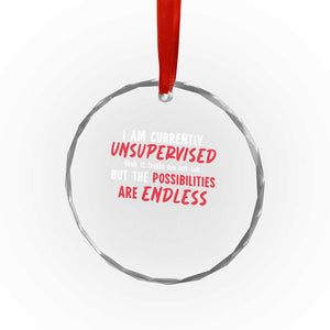 Funny I Am Currently Unsupervised But The Possibilities Are Endless Crystal Glass Ornament TS11 Print Your Wear