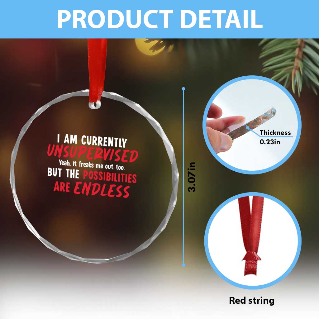 Funny I Am Currently Unsupervised But The Possibilities Are Endless Crystal Glass Ornament TS11 Print Your Wear