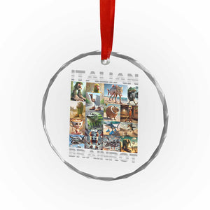 Funny Italian Brainrot Meme Art Crystal Glass Ornament Surreal Humor Pop Culture Collage TS02 Print Your Wear