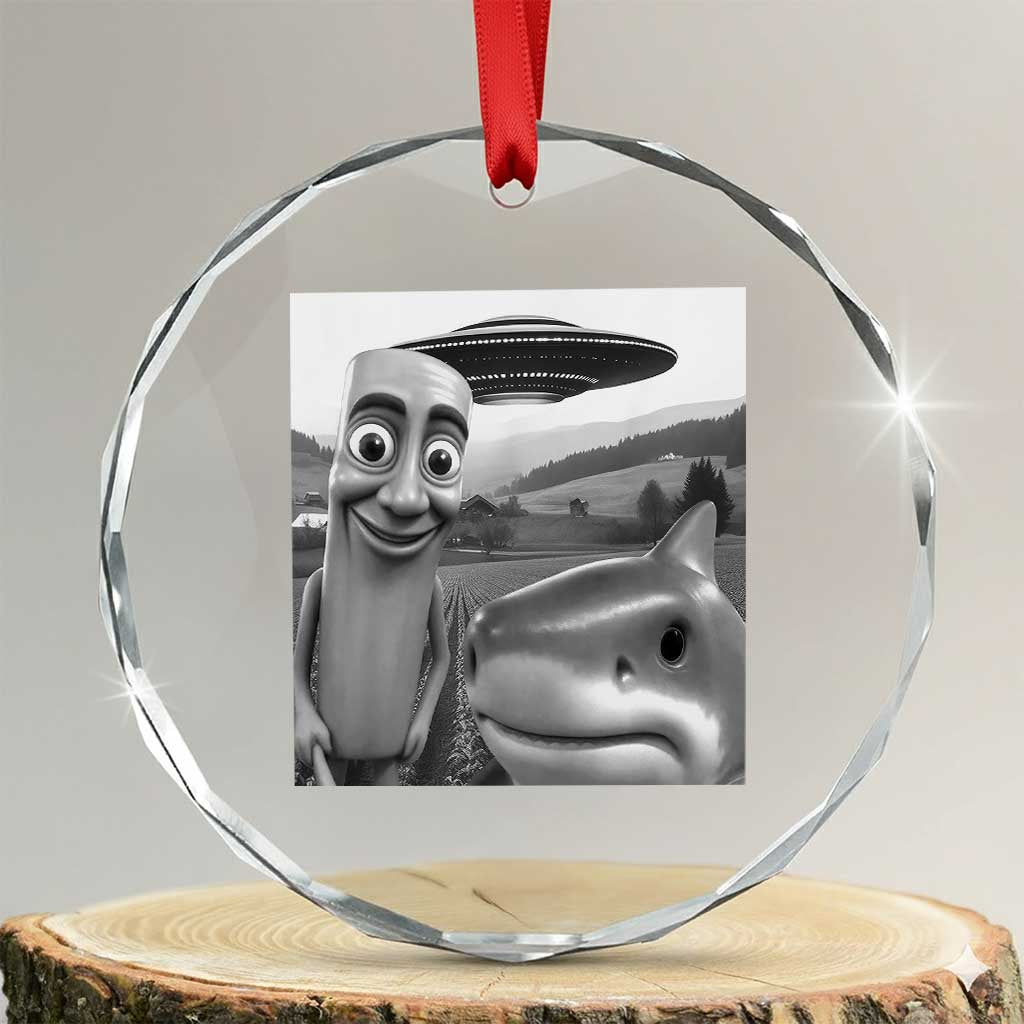Funny Italian Brainrot Meme Crystal Glass Ornament Funny Tung Tung Tung Sahur Tralalero Tralala Selfie TS10 Transparent Glass 3'' Circle Print Your Wear