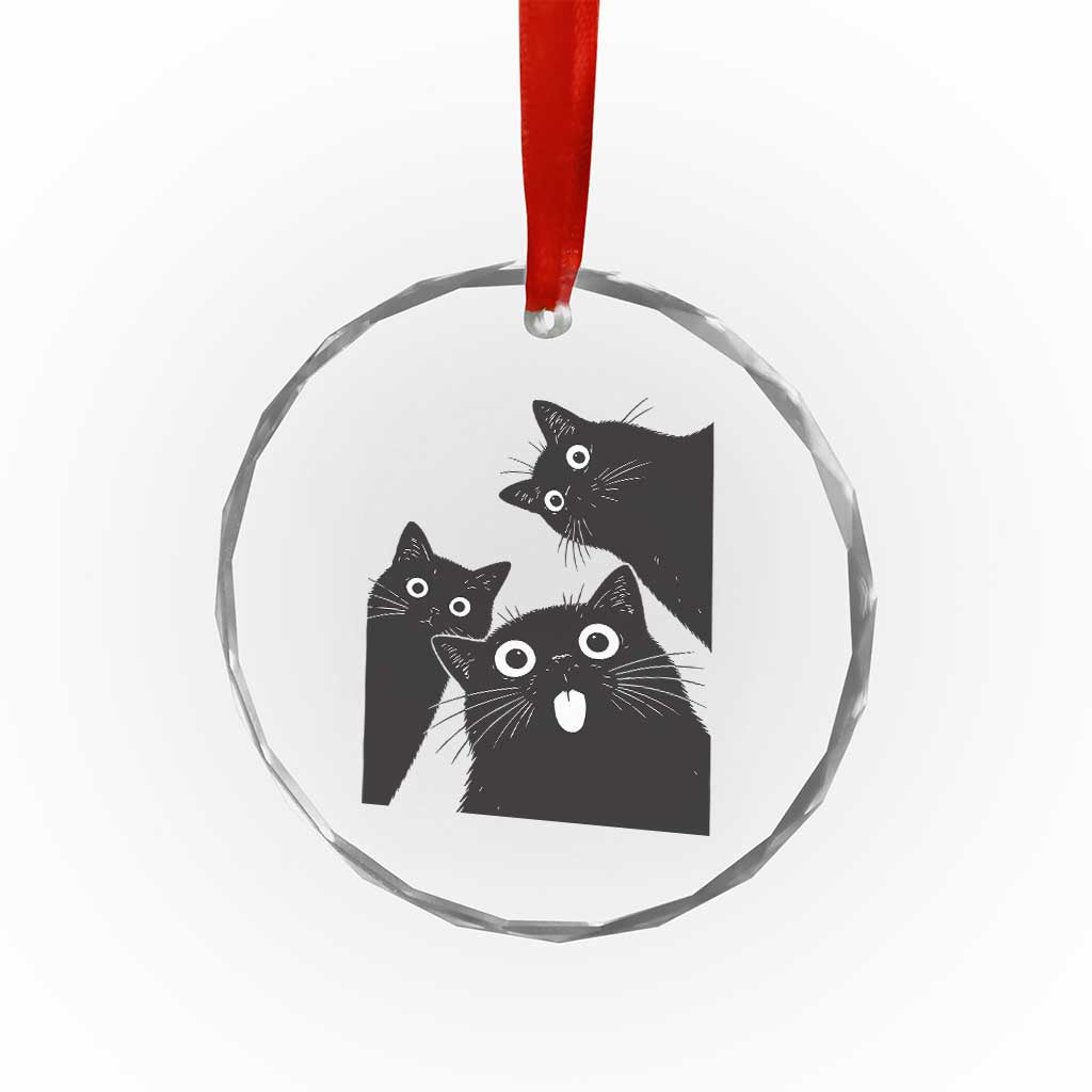 Funny Japanese Black Cat Is Watching You Crystal Glass Ornament Cat Lover TS12 Print Your Wear