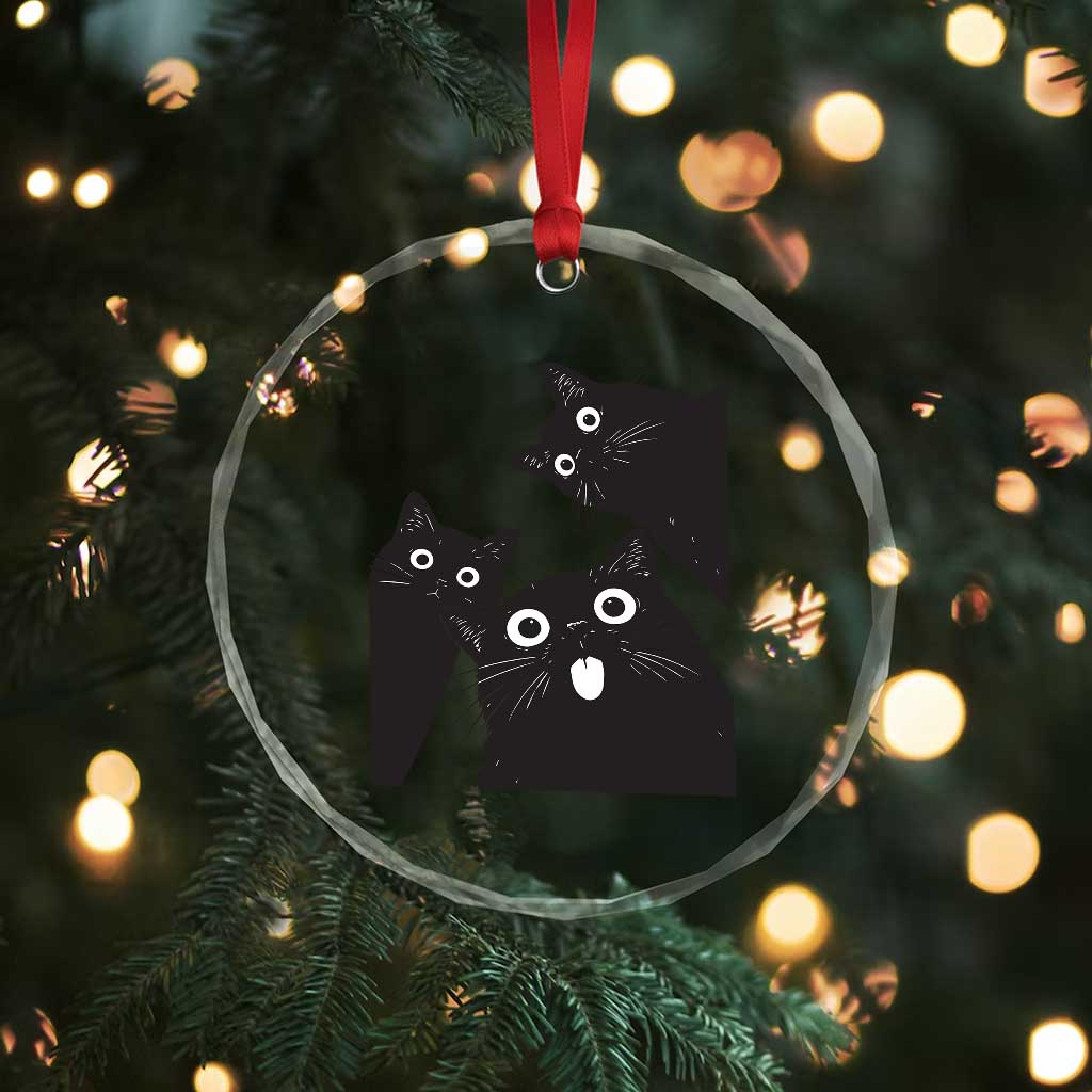 Funny Japanese Black Cat Is Watching You Crystal Glass Ornament Cat Lover TS12 Print Your Wear