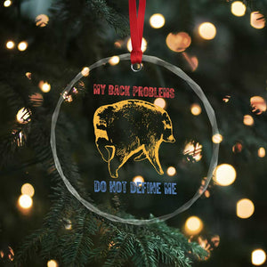 Funny Jimothy Meme Back Pain Humor Crystal Glass Ornament My Back Problems Do Not Define Me Viral Seattle Raccoon