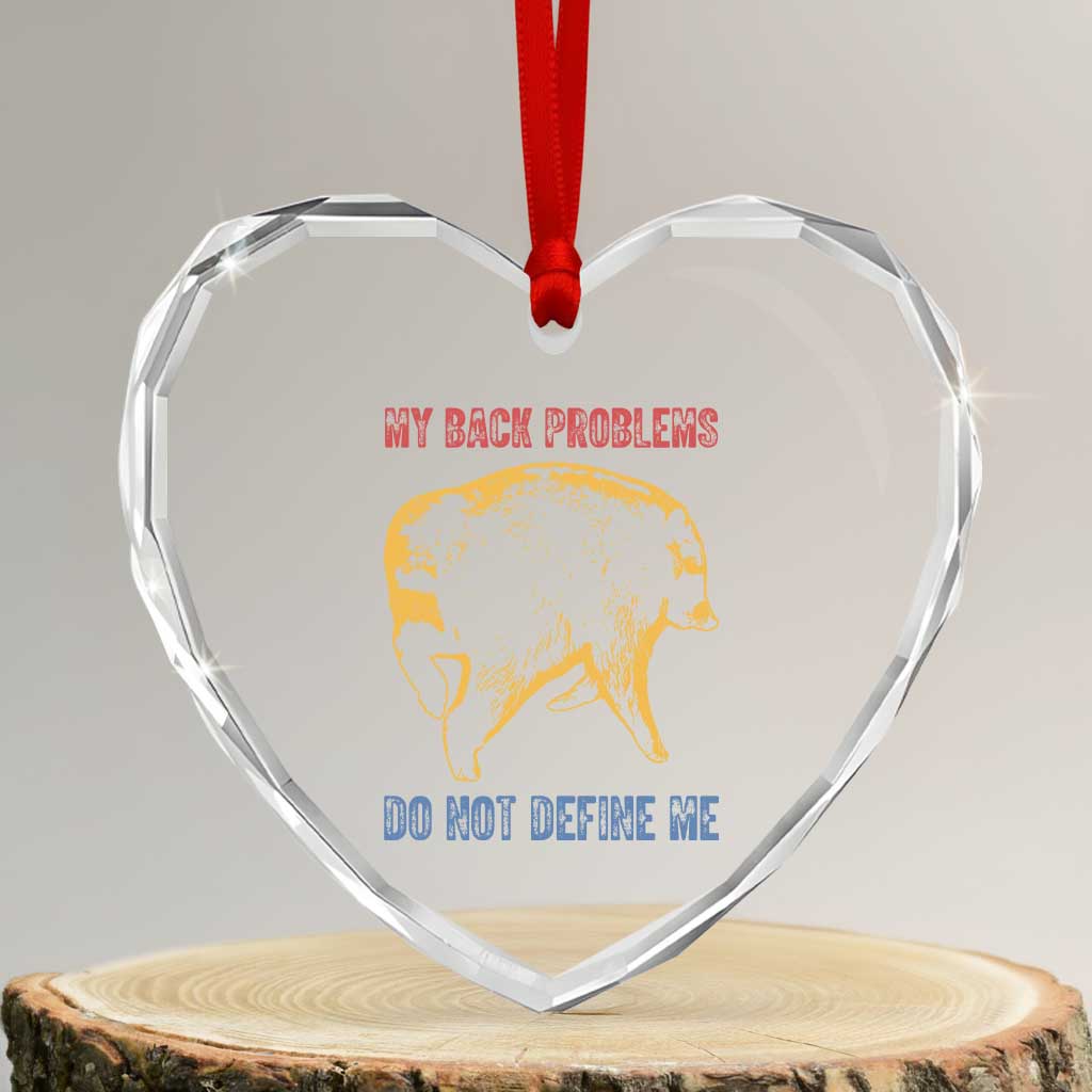 Funny Jimothy Meme Back Pain Humor Heart Crystal Glass Ornament My Back Problems Do Not Define Me Viral Seattle Raccoon