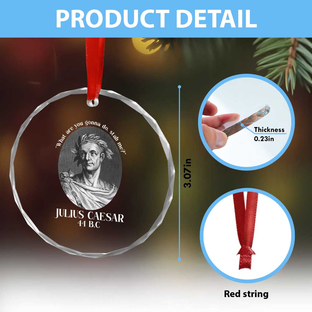 Funny Julius Caesar Crystal Glass Ornament What Are You Gonna Do Stab Me Roman History TS11 Print Your Wear