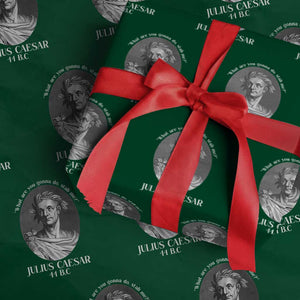 Funny Julius Caesar Wrapping Paper Roll What Are You Gonna Do Stab Me Roman History TS11 Green Print Your Wear