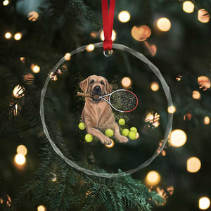 Funny Labrador Dog Playing Tennis Ball Crystal Glass Ornament Pet Lover Gift TS12 Print Your Wear