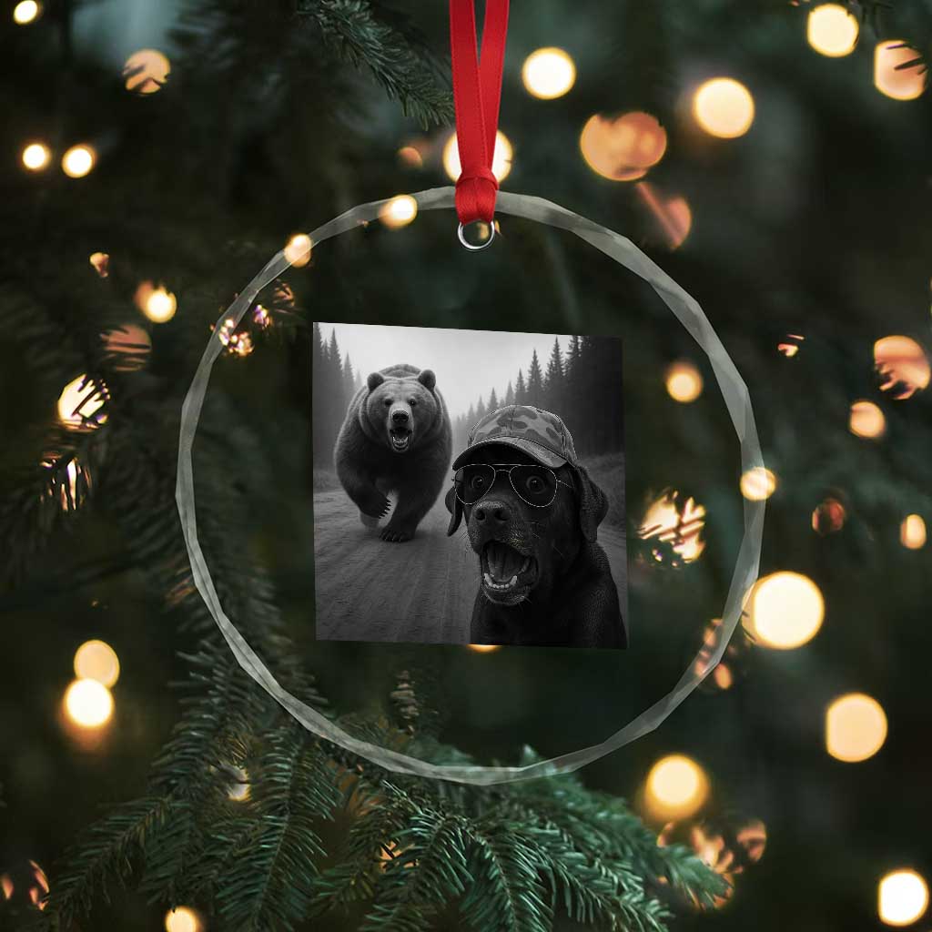 Funny Labrador Selfie With Bear Crystal Glass Ornament Dog Lover Gift TS12 Print Your Wear